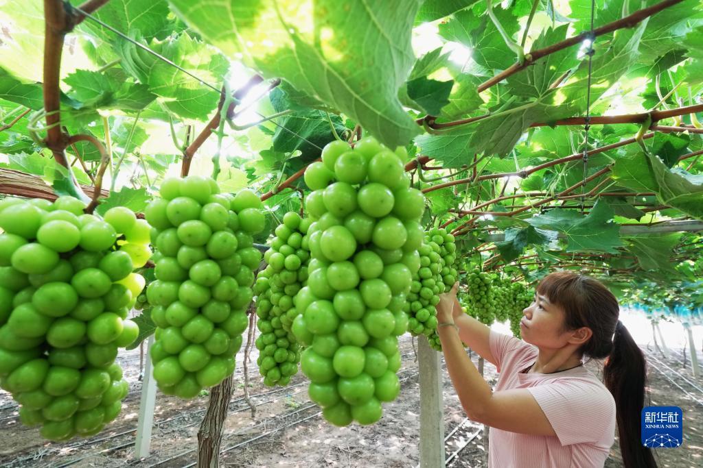 从发娱乐